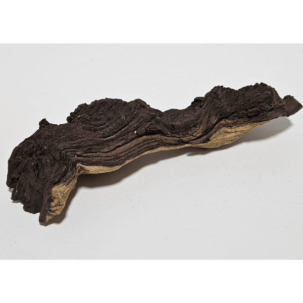 Aquadeco Mopani Wurzel S 2-farbig #117