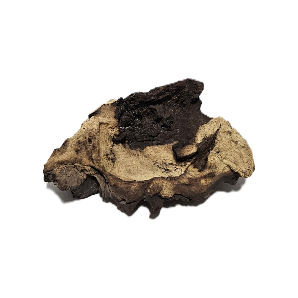 Aquadeco Mopani Wurzel S 2-farbig #120