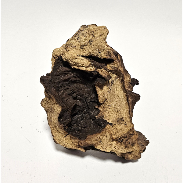 Aquadeco Mopani Wurzel S 2-farbig #120