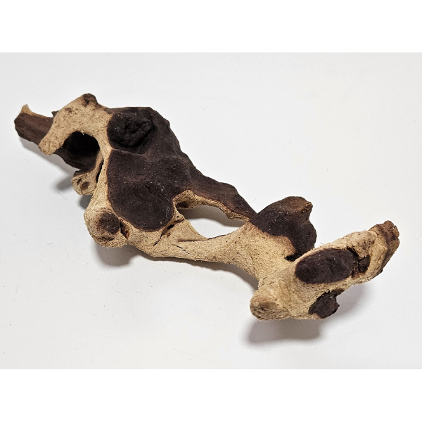 Aquadeco Mopani Wurzel S 2-farbig #121