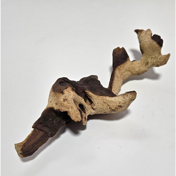 Aquadeco Mopani Wurzel S 2-farbig #121