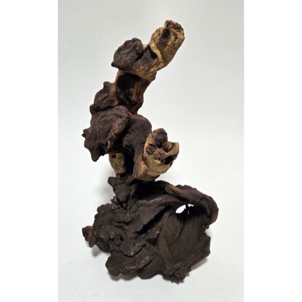 Aquadeco Mopani Wurzel S 2-farbig #122