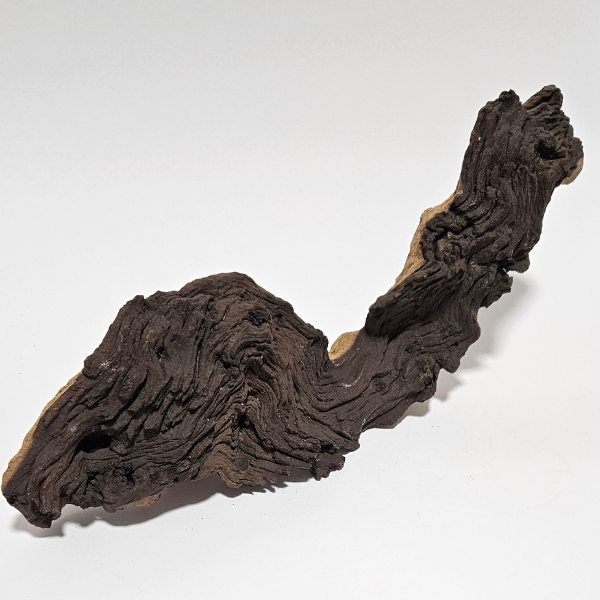 Aquadeco Mopani Wurzel S 2-farbig #124