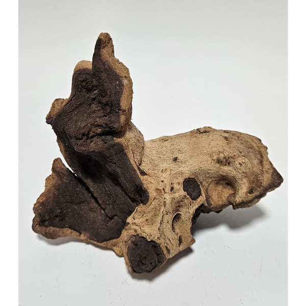 Aquadeco Mopani Wurzel S 2-farbig #126