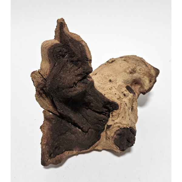 Aquadeco Mopani Wurzel S 2-farbig #126