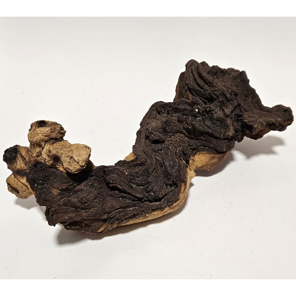 Aquadeco Mopani Wurzel S 2-farbig #128