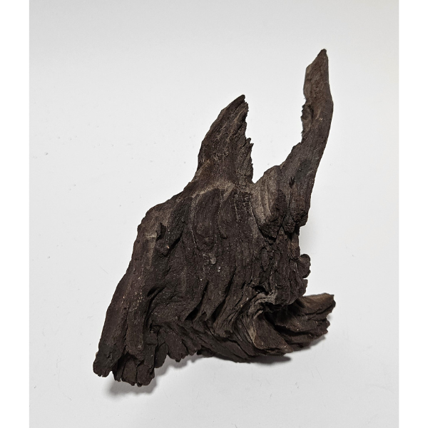 Aquadeco Mopani Wurzel S braun #130