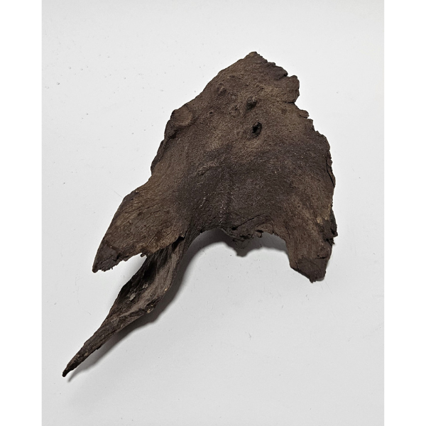 Aquadeco Mopani Wurzel S braun #130