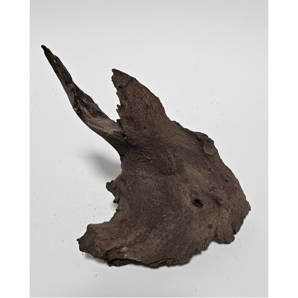 Aquadeco Mopani Wurzel S braun #130