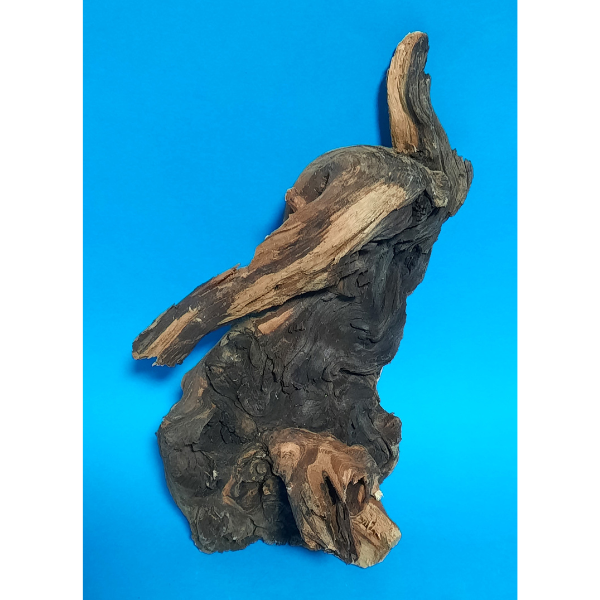 Hobby Mopani Wurzel M 2-farbig #303