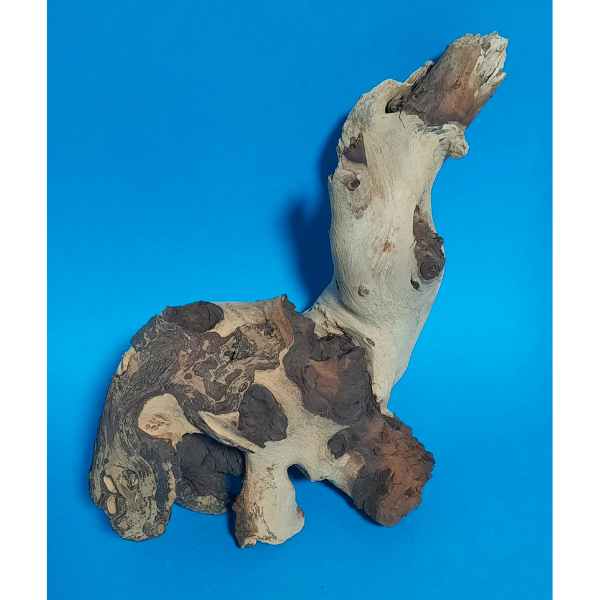 Hobby Mopani Wurzel M 2-farbig #304