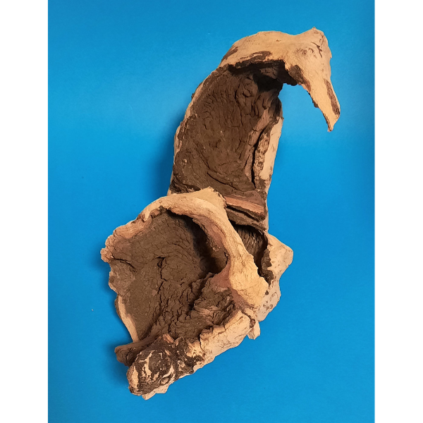 Hobby Mopani Wurzel M 2-farbig #059