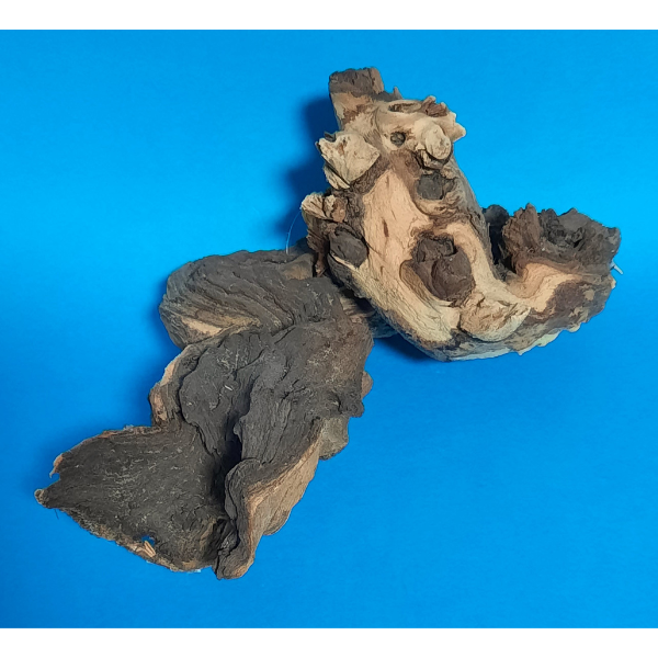 Hobby Mopani Wurzel S 2-farbig #060