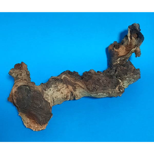 Hobby Mopani Wurzel S 2-farbig #064