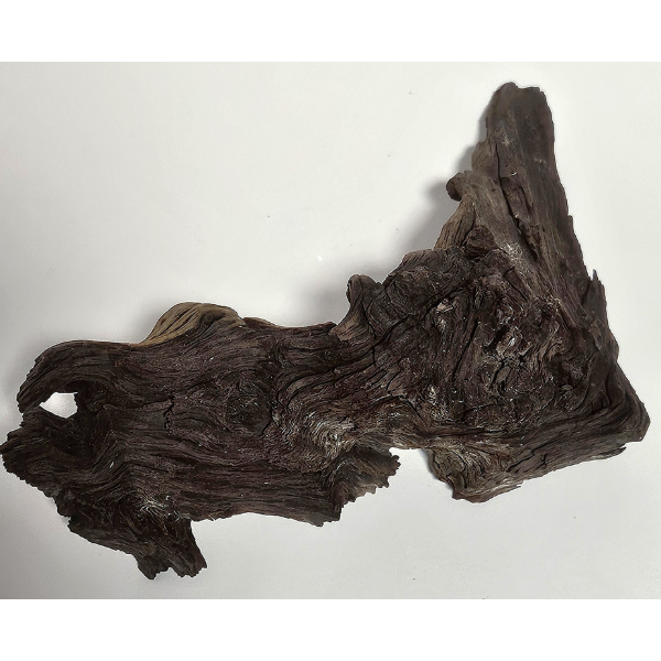 Hobby Mopani Wurzel S 2-farbig #092