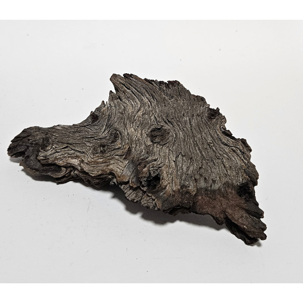 Hobby Mopani Wurzel S braun #151