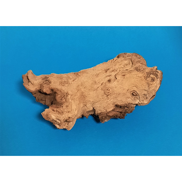 Hobby Mopani Wurzel S 2-farbig #017