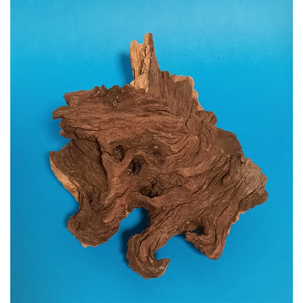 Hobby Mopani Wurzel S 2-farbig #050