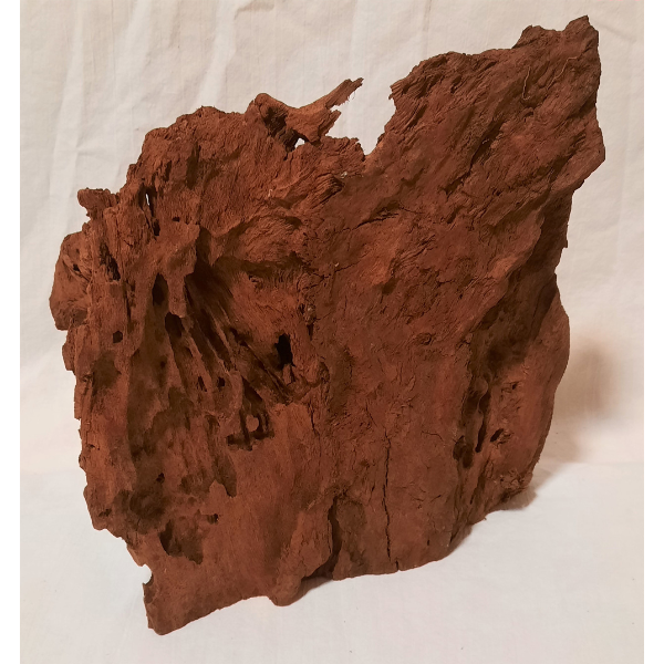 Orbit Mangroven Wurzel L #033