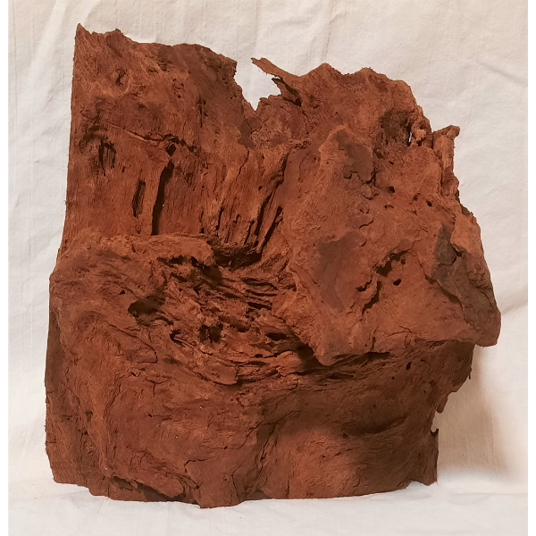 Orbit Mangroven Wurzel L #033