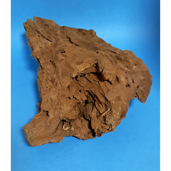 Hobby Mangroven Wurzel M #306