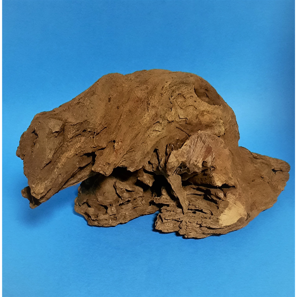 Hobby Mangroven Wurzel M #307