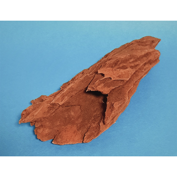 Hobby Mangroven Wurzel S #102