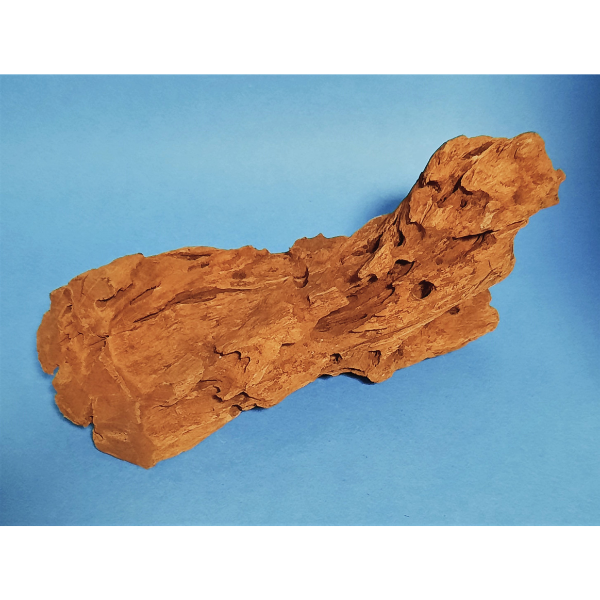 Hobby Mangroven Wurzel S #104