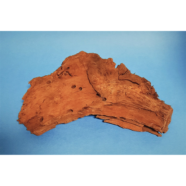 Hobby Mangroven Wurzel S #105