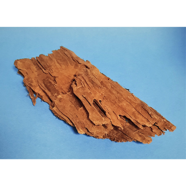 Hobby Mangroven Wurzel S #109