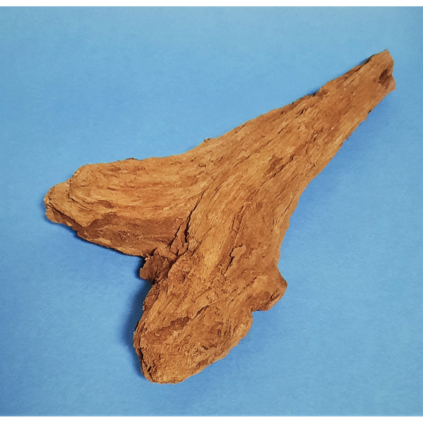 Hobby Mangroven Wurzel S #110