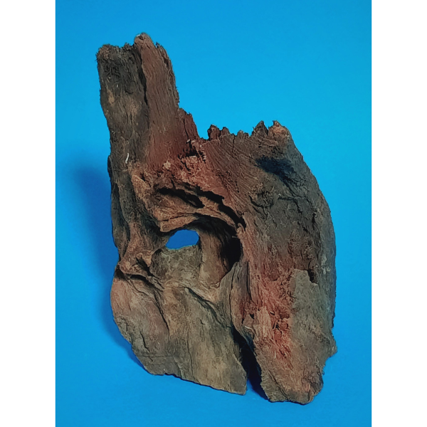 Hobby Mangroven Wurzel S #112