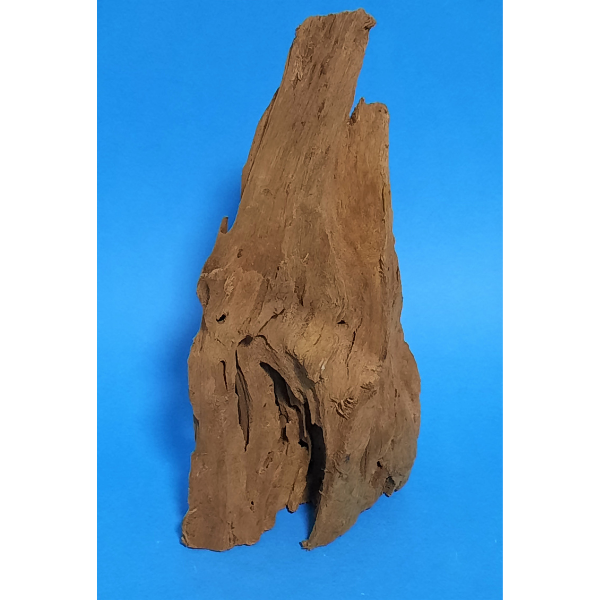 Hobby Mangroven Wurzel S #115