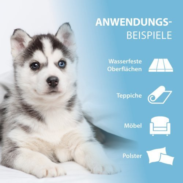 Arka Pipi-Weg Hund Geruchs- & Fleckenentferner 750 ml