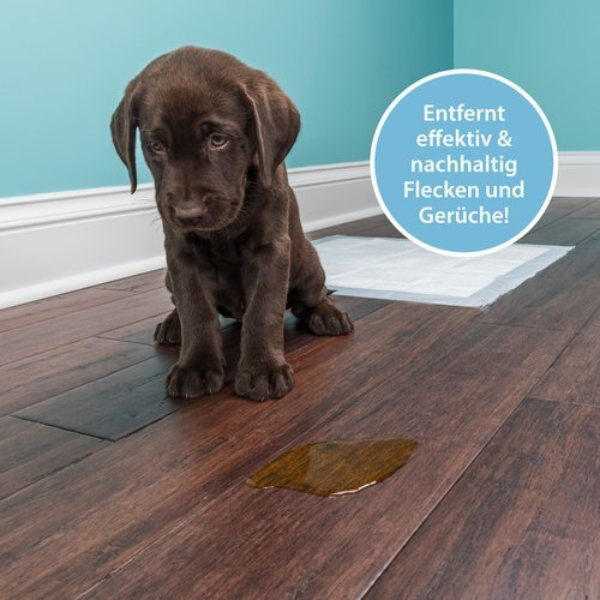 Arka Pipi-Weg Hund Geruchs- & Fleckenentferner 750 ml