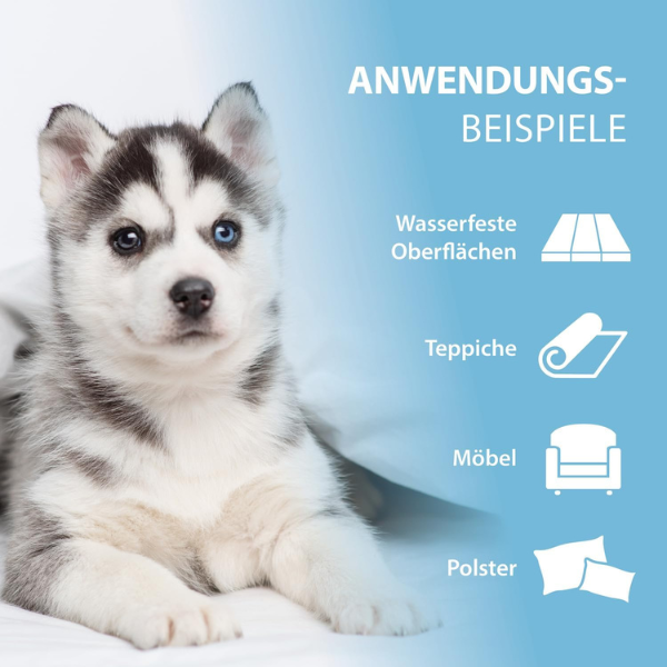 Arka Pipi-Weg Hund Geruchs- & Fleckenentferner 100 ml Für Unterwegs