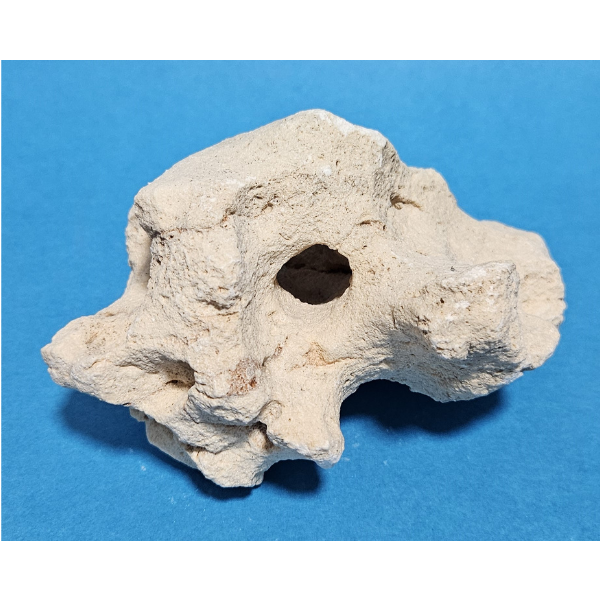 Orbit Lochgestein Sansibar S #001