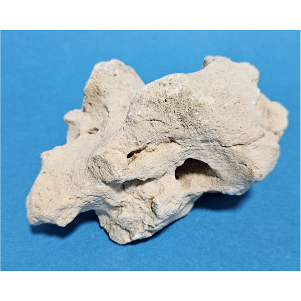 Orbit Lochgestein Sansibar S #001