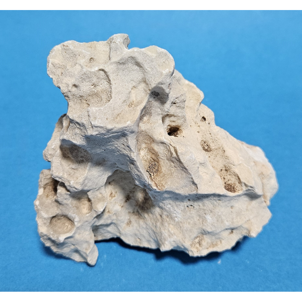 Orbit Lochgestein Sansibar S #002