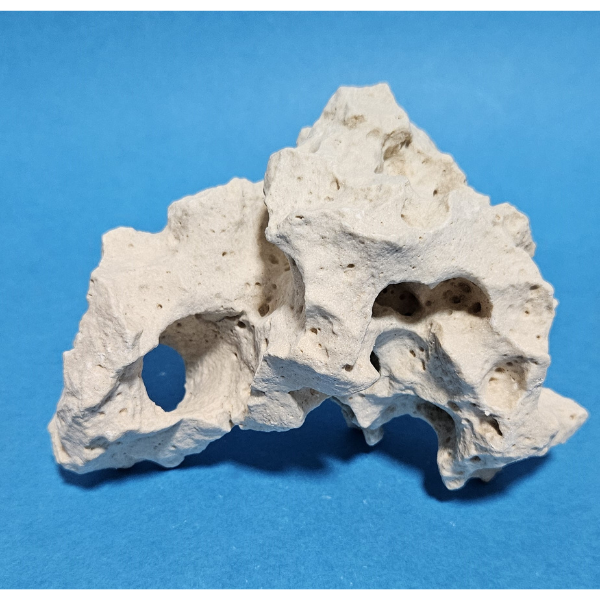 Orbit Lochgestein Sansibar S #003