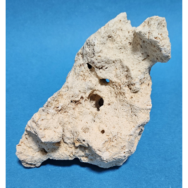 Orbit Lochgestein Sansibar S #005