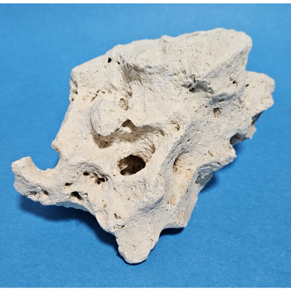 Orbit Lochgestein Sansibar S #007