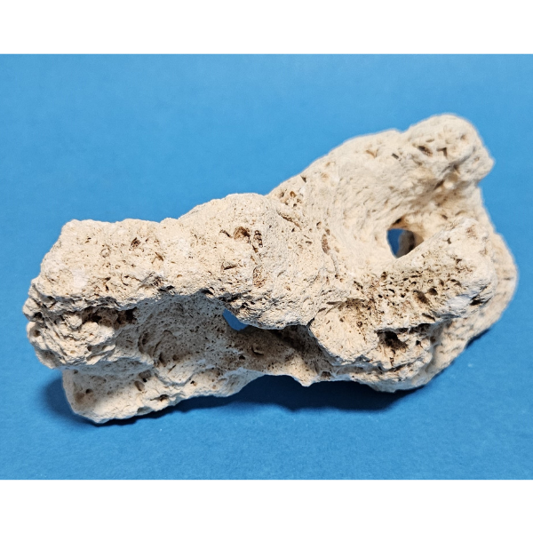 Orbit Lochgestein Sansibar S #010