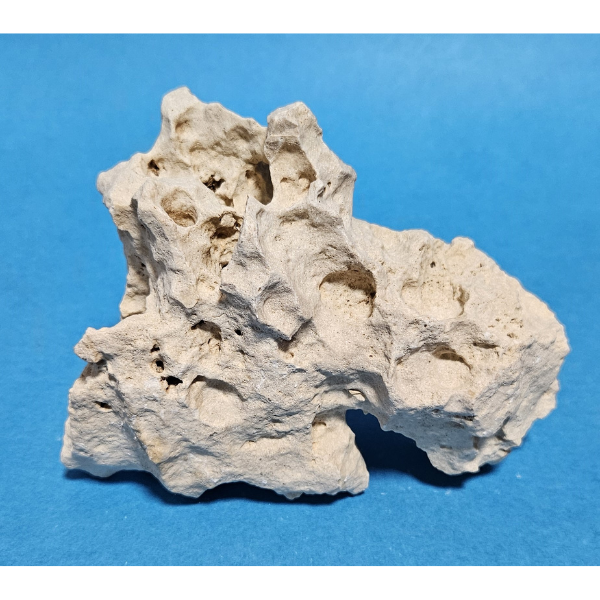 Orbit Lochgestein Sansibar S #011