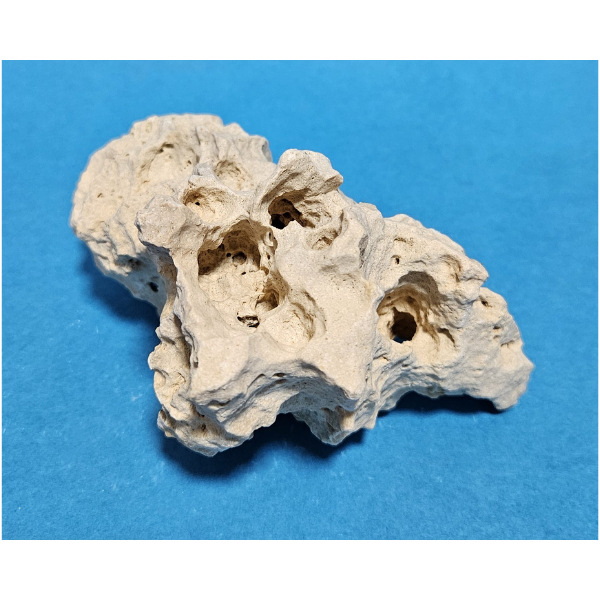 Orbit Lochgestein Sansibar S #011