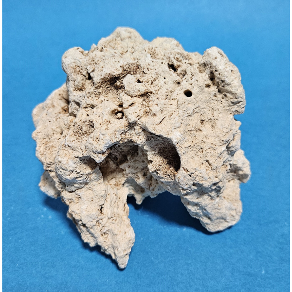 Orbit Lochgestein Sansibar S #012