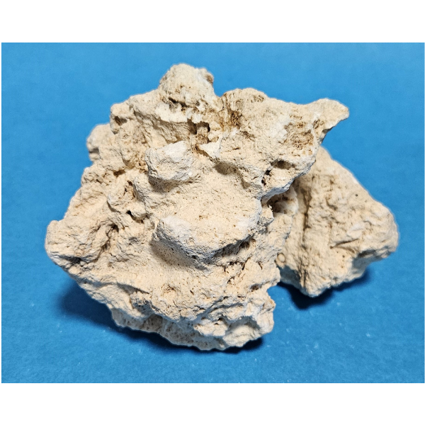 Orbit Lochgestein Sansibar S #012