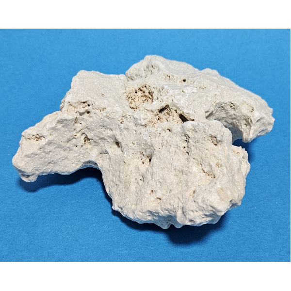 Orbit Lochgestein Sansibar S #015