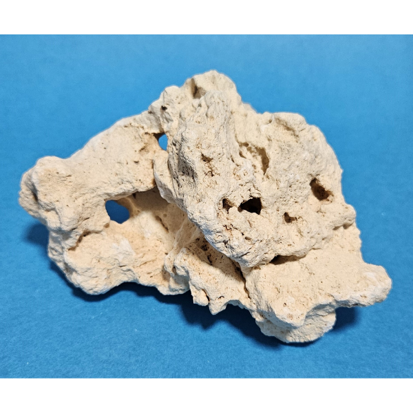 Orbit Lochgestein Sansibar S #090