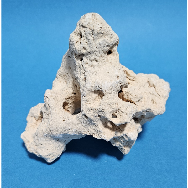 Orbit Lochgestein Sansibar S #090